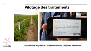 Pilotage des traitements
Mots clés Optimisation irrigation / Complement drone / réponse immédiate
 