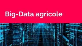 Big-Data agricole
 