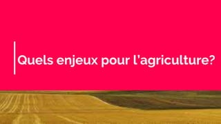 Quels enjeux pour l’agriculture?
 