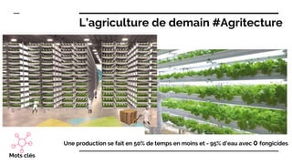 Une production se fait en 50% de temps en moins et - 95% d’eau avec 0 fongicides
Mots clés
L’agriculture de demain #Agritecture
 