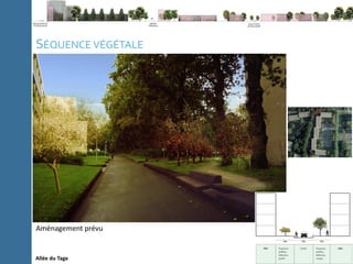 C
l
i
p
b
o
a
r
d
P
a
g
e
N
u
m
b
e
r
Note méthodologique La ville du 21e
siècle Expériences Conclusion
SÉQUENCE VÉGÉTALE
Allée du Tage
Aménagement prévu
 
