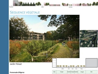 C
l
i
p
b
o
a
r
d
P
a
g
e
N
u
m
b
e
r
Note méthodologique La ville du 21e
siècle Expériences Conclusion
SÉQUENCE VÉGÉTALE
Promenade d’Algarve
Jardin Trévad
 