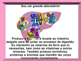 Sou um  grande laboratório! Produzo a bile que é levada ao intestino delgado para se juntar ao processo de digestão.  Eu mantenho as reservas de ferro que tu necessitas, bem como as vitaminas e outros minerais.  Também produzo hormônios, proteínas e enzimas que mantêm teu corpo funcionando normalmente.  