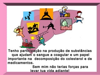 Tenho participação na produção de substâncias que ajudam o sangue a coagular e um papel importante na  decomposição do colesterol e de medicamentos.  Sem mim não terias forças para levar tua vida adiante! 