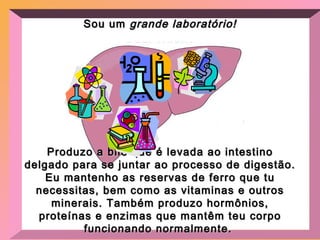 Sou um  grande laboratório! Produzo a bile que é levada ao intestino delgado para se juntar ao processo de digestão.  Eu mantenho as reservas de ferro que tu necessitas, bem como as vitaminas e outros minerais.  Também produzo hormônios, proteínas e enzimas que mantêm teu corpo funcionando normalmente.  