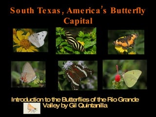 South Texas, America’s Butterfly Capital Introduction to the Butterflies of the Rio Grande Valley by Gil Quintanilla 
