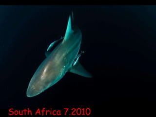 South Africa 7.2010 