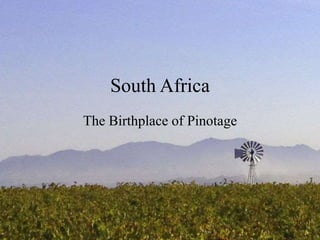 South Africa
The Birthplace of Pinotage
 