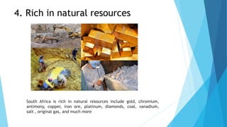 South Africa is rich in natural resources include gold, chromium,
antimony, copper, iron ore, platinum, diamonds, coal, vanadium,
salt , original gas, and much more
4. Rich in natural resources
 