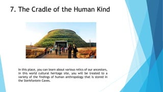 In this place, you can learn about various relics of our ancestors,
in this world cultural heritage site, you will be treated to a
variety of the findings of human anthropology that is stored in
the Sterkfontein Caves.
7. The Cradle of the Human Kind
 
