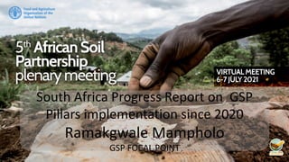 South Africa Progress Report on GSP
Pillars implementation since 2020
Ramakgwale Mampholo
GSP FOCAL POINT
 