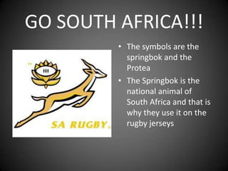 GO SOUTH AFRICA!!!The symbols are the springbok and the ProteaThe Springbok is the national animal of South Africa and that is why they use it on the rugby jerseys