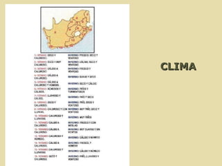   CLIMA CLIMA 