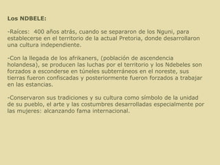 Los NDBELE: -Raíces:  400 años atrás, cuando se separaron de los Nguni, para establecerse en el territorio de la actual Pretoria, donde desarrollaron una cultura independiente. -Con la llegada de los afrikaners, (población de ascendencia holandesa), se producen las luchas por el territorio y los Ndebeles son forzados a esconderse en túneles subterráneos en el noreste, sus tierras fueron confiscadas y posteriormente fueron forzados a trabajar en las estancias. -Conservaron sus tradiciones y su cultura como símbolo de la unidad de su pueblo, el arte y las costumbres desarrolladas especialmente por las mujeres: alcanzando fama internacional. 