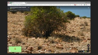 Google Trekker South Africa - Google Street View Summit 2018