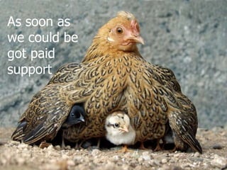 As soon as we could be got paid support 