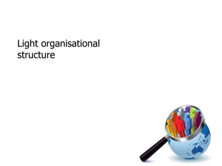 Light organisational structure 