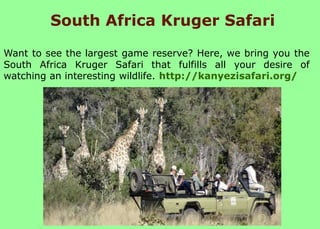 South Africa Kruger Safari
Want to see the largest game reserve? Here, we bring you the
South Africa Kruger Safari that fulfills all your desire of
watching an interesting wildlife. http://kanyezisafari.org/
 
