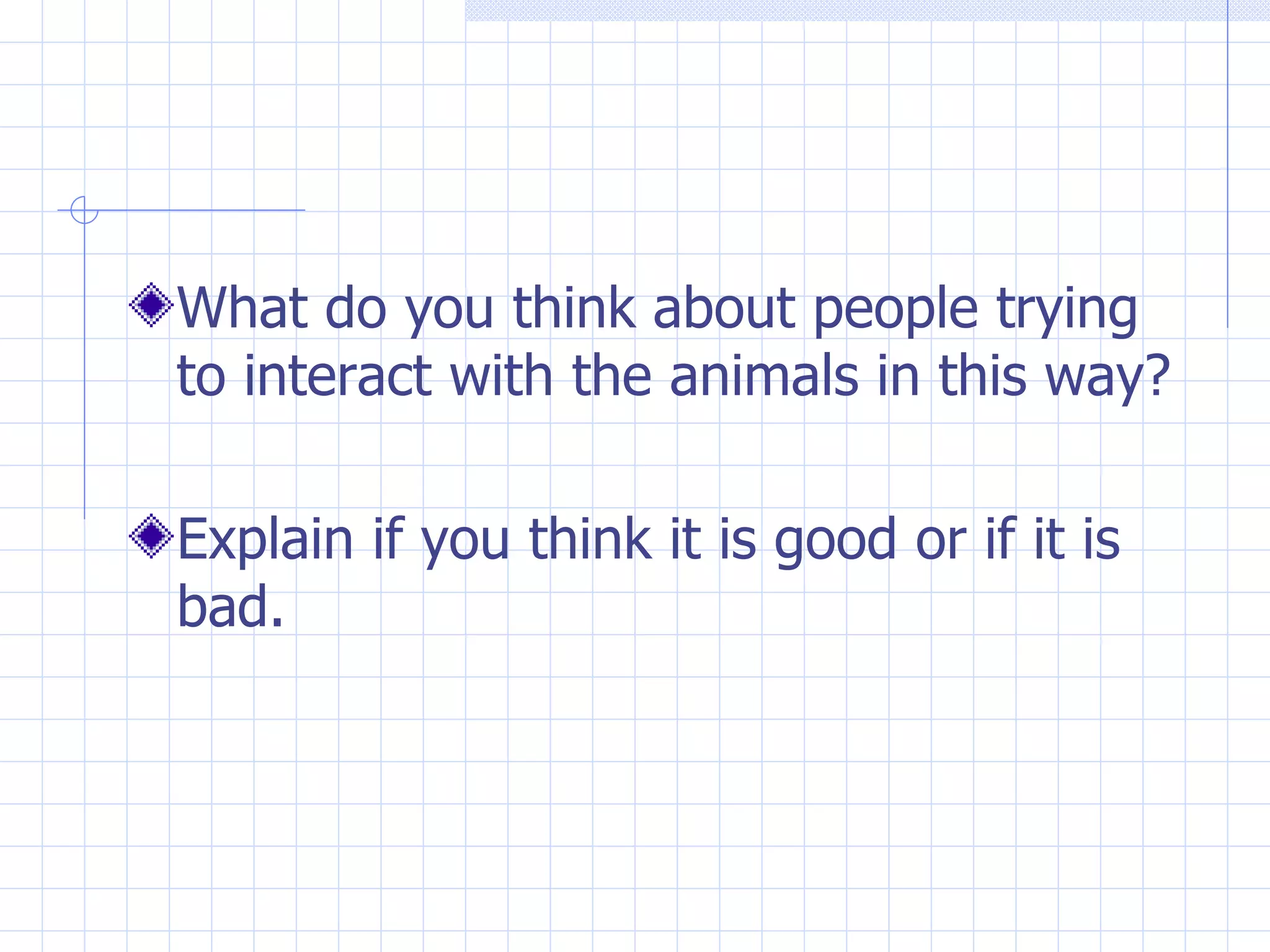 What do you think about people trying
to interact with the animals in this way?

Explain if you think it is good or if it is
bad.
 