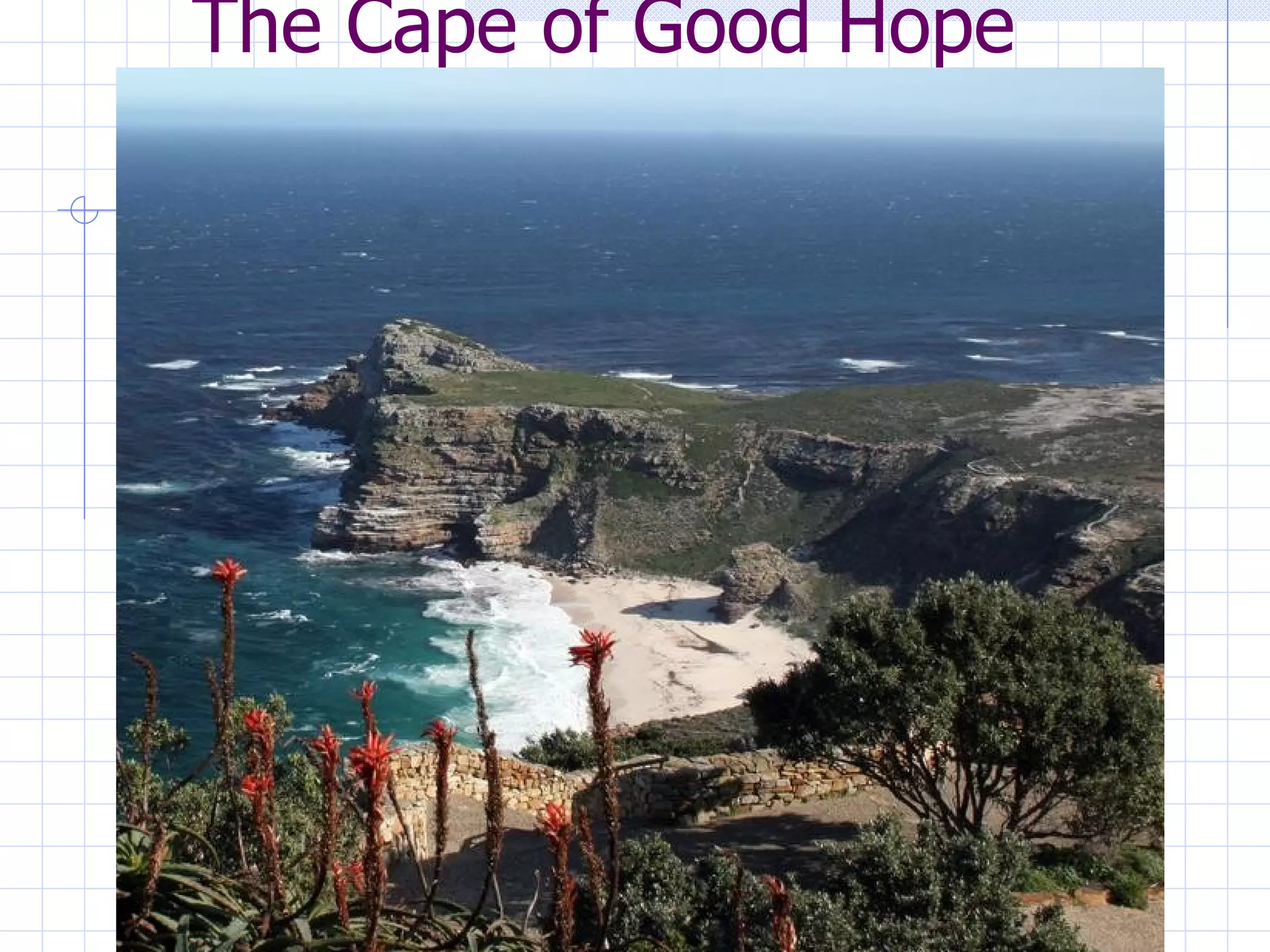 The Cape of Good Hope
 