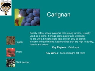 Carignan
Deeply colour wines, powerful with strong tannins. Usually
used as a blend, it brings some power and Character
to the wine. It ripens quite late, so can only be grown
in warm to hot climates. It gives wines that are high in acidity,
tannin and colour.
Key Regions : Catalunya
Key Wines : Torres Sangre del Torro
Pepper
Plum
Black pepper
 