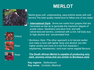 Cherry
Plum
Rose
MERLOT
Merlot gives soft, undemanding, easy-todrink wines with soft
tannins.The best quality merlot tend to follow one of two styles
• International Style : Some are made from grapes that are
harvested as late as to generate the maximum degree of
purple colour, blackberry and plum fruit, and soft,
velvet-textured tannins, combined with a rich, full body due
to high alcohol and concentrated fruit.
• Bordeaux Style :The other approach is to harvest earlier
and make a wine with lighter body and alcohol, but with
higher acidity and more of a red fruit character (
raspberries, strawberries ) and even some vegetal flavours.
The South African Merlot is capable of producing very
dark, plummy wines,that are similar to Bordeaux style
.
Key regions : Stellenbosch
Key wines : Cordoba, Meerlust.
 