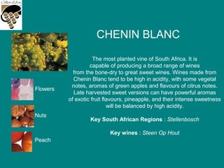 CHENIN BLANC
The most planted vine of South Africa. It is
capable of producing a broad range of wines
from the bone-dry to great sweet wines. Wines made from
Chenin Blanc tend to be high in acidity, with some vegetal
notes, aromas of green apples and flavours of citrus notes.
Late harvested sweet versions can have powerful aromas
of exotic fruit flavours, pineapple, and their intense sweetness
will be balanced by high acidity.
Key South African Regions : Stellenbosch
Key wines : Steen Op Hout
Flowers
Nuts
Peach
 