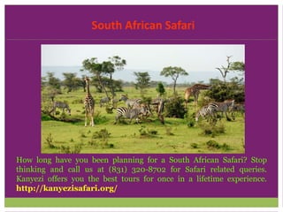 South African Safari
How long have you been planning for a South African Safari? Stop
thinking and call us at (831) 320-8702 for Safari related queries.
Kanyezi offers you the best tours for once in a lifetime experience.
http://kanyezisafari.org/
 