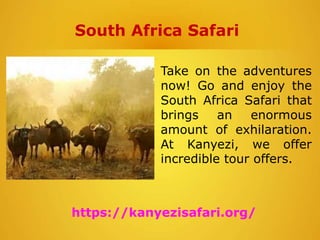 South Africa Safari
Take on the adventures
now! Go and enjoy the
South Africa Safari that
brings an enormous
amount of exhilaration.
At Kanyezi, we offer
incredible tour offers.
https://kanyezisafari.org/
 
