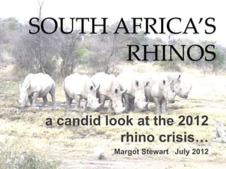 SOUTH AFRICA’S
RHINOS
a candid look at the 2012
rhino crisis…
Margot Stewart July 2012
 