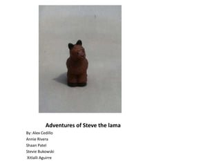 Adventures of Steve the lama
By: Alex Cedillo
Annie Rivera
Shaan Patel
Stevie Bukowski
Xitlalli Aguirre
 