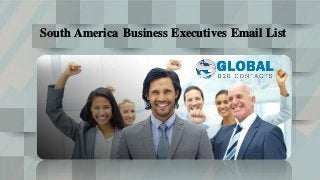 South America Business Executives Email List
 