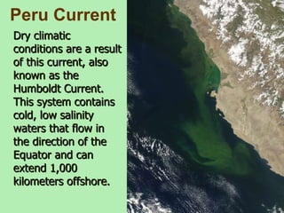 Peru Current Dry climatic conditions are a result of this current, also known as the Humboldt Current. This system contains cold, low salinity waters that flow in the direction of the Equator and can extend 1,000 kilometers offshore.   