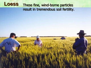 Loess These fine, wind-borne particles result in tremendous soil fertility.   