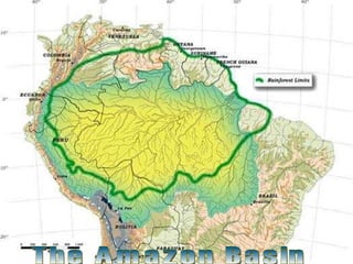 The Amazon Basin 