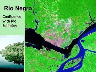 Rio Negro Confluence with Rio Solimões   