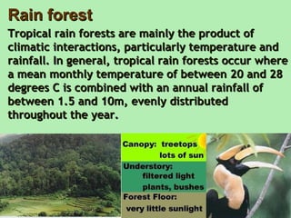 Rain forest Tropical rain forests are mainly the product of climatic interactions, particularly temperature and rainfall. In general, tropical rain forests occur where a mean monthly temperature of between 20 and 28 degrees C is combined with an annual rainfall of between 1.5 and 10m, evenly distributed throughout the year.  