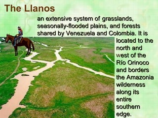 The Llanos   an extensive system of  grasslands,  seasonally-flooded plains, and forests  shared by   Venezuela and Colombia. It is  located to   the   north   and   w est of the  Río Orinoco  and borders  the Amazonia   wilderness    along its    entire  southern  edge.   