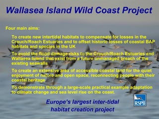 World Environment Day 2013: 'RSPB Wallasea Island Coast Project', Chris Tyas 