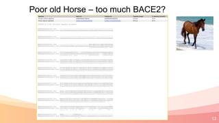 13
Poor old Horse – too much BACE2?
 