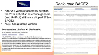 14
Danio rerio BACE2
• After 2.5 years of assembly curation
the 2017 zebrafish reference genome
(and UniProt) still has a clipped 372aa
BACE2
• NCBI has a 503aa version
 