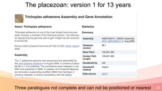 21
The placezoan: version 1 for 13 years
Three paralogues not complete and can not be positioned or nearest
 