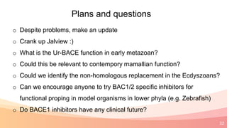 32
Plans and questions
o Despite problems, make an update
o Crank up Jalview :)
o What is the Ur-BACE function in early metazoan?
o Could this be relevant to contempory mamallian function?
o Could we identify the non-homologous replacement in the Ecdyszoans?
o Can we encourage anyone to try BAC1/2 specific inhibitors for
functional proping in model organisms in lower phyla (e.g. Zebrafish)
o Do BACE1 inhibitors have any clinical future?
 