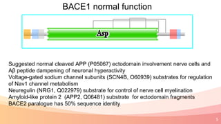 5
BACE1 normal function
Suggested normal cleaved APP (P05067) ectodomain involvement nerve cells and
Aβ peptide dampening of neuronal hyperactivity
Voltage-gated sodium channel subunits (SCN4B, O60939) substrates for regulation
of Nav1 channel metabolism
Neuregulin (NRG1, Q022979) substrate for control of nerve cell myelination
Amyloid-like protein 2 (APP2, Q06481) substrate for ectodomain fragments
BACE2 paralogue has 50% sequence identity
 