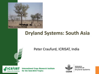 Dryland Systems: South Asia
Peter Craufurd, ICRISAT, India
Photo courtesy GRAVIS
 
