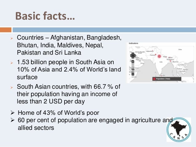 South asia development challenges