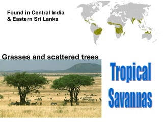 Found in Central India
& Eastern Sri Lanka
Grasses and scattered trees
 