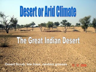 Desert Scrub, low trees, random grasses
 