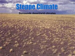 Surrounds desert/arid climates
 