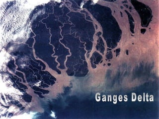 Ganges River Delta
 